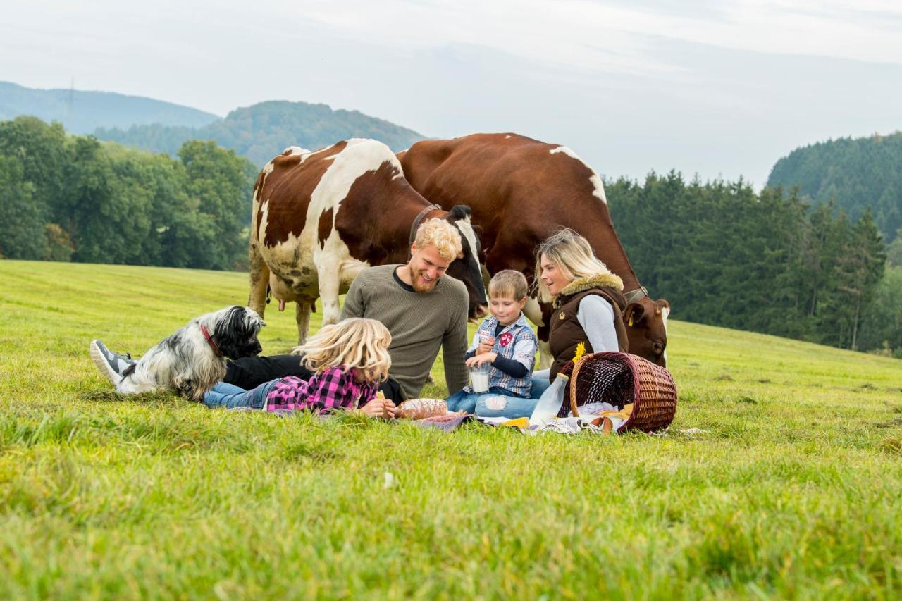 Westfalenhof Garni Willingen  Zewnętrze zdjęcie