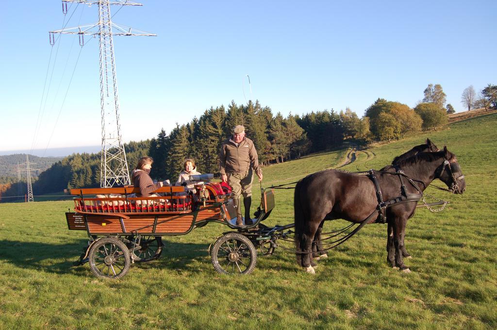 Westfalenhof Garni Willingen  Zewnętrze zdjęcie