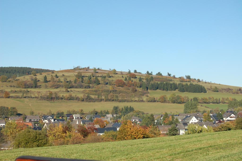 Westfalenhof Garni Willingen  Zewnętrze zdjęcie