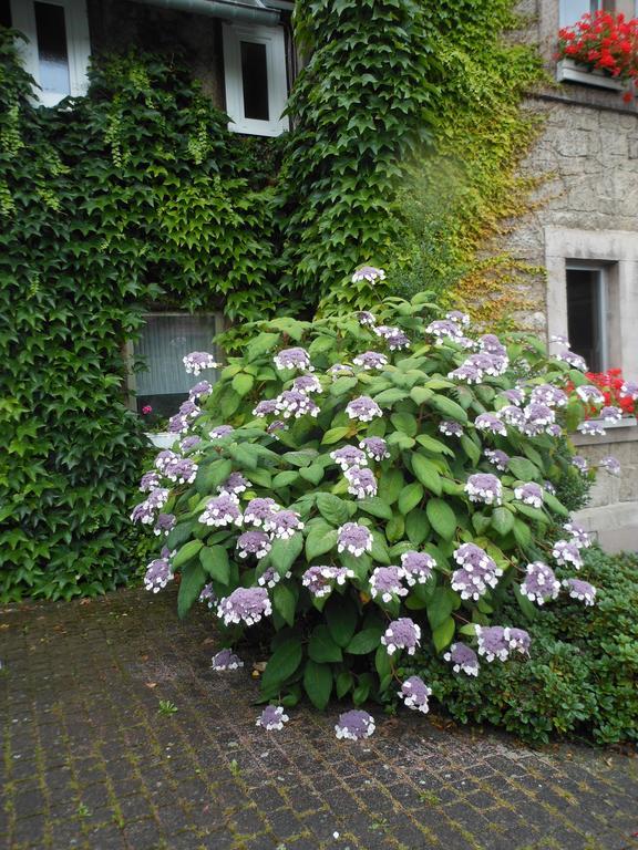 Westfalenhof Garni Willingen  Zewnętrze zdjęcie