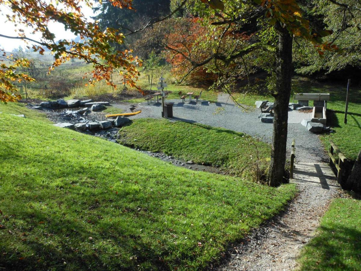 Westfalenhof Garni Willingen  Zewnętrze zdjęcie